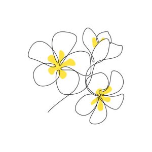 16,900点を超えるプルメリアのイラスト素材、ロイヤリティフリー ...